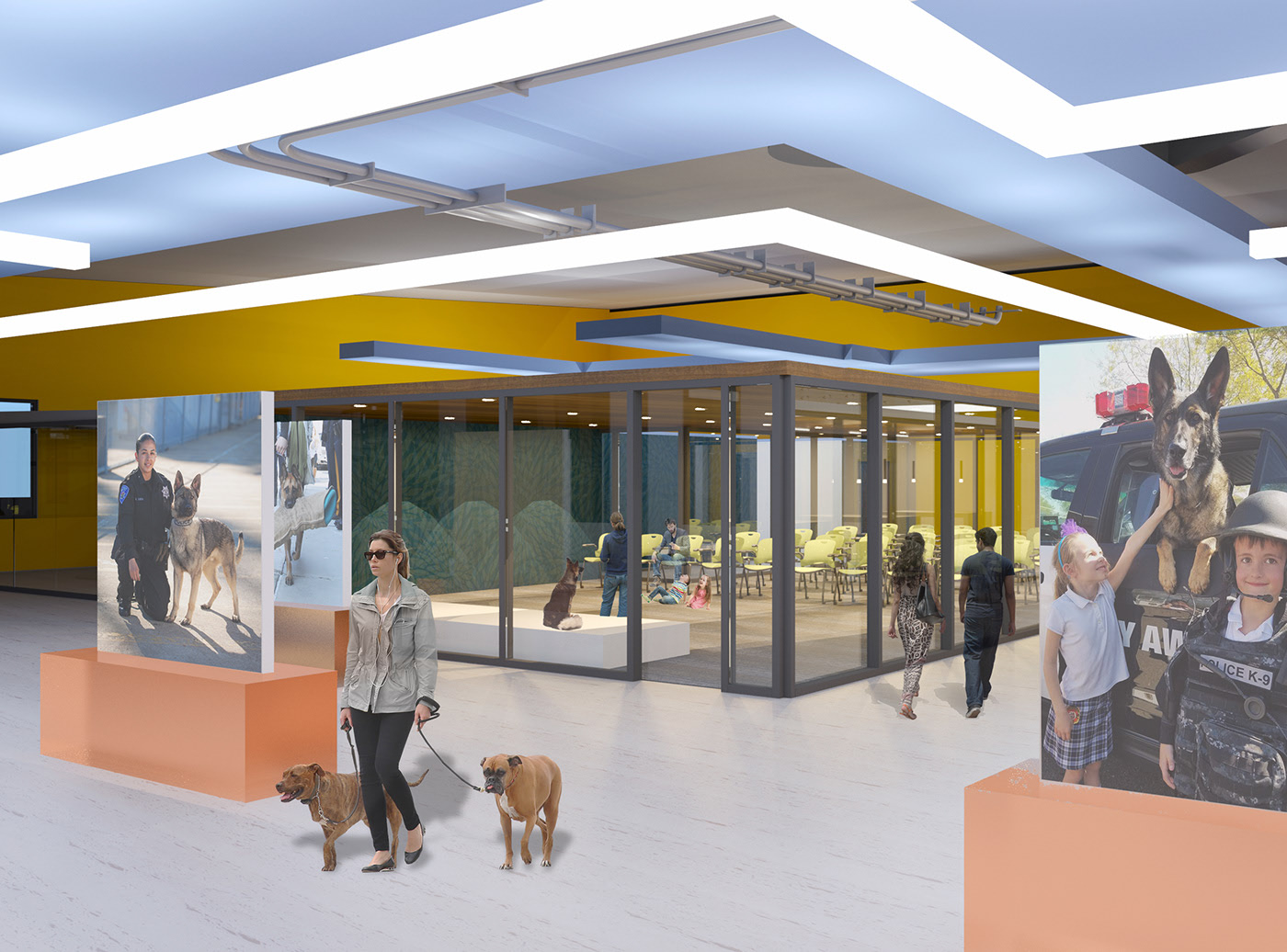 96613259317405.5a1dbe9d33c03