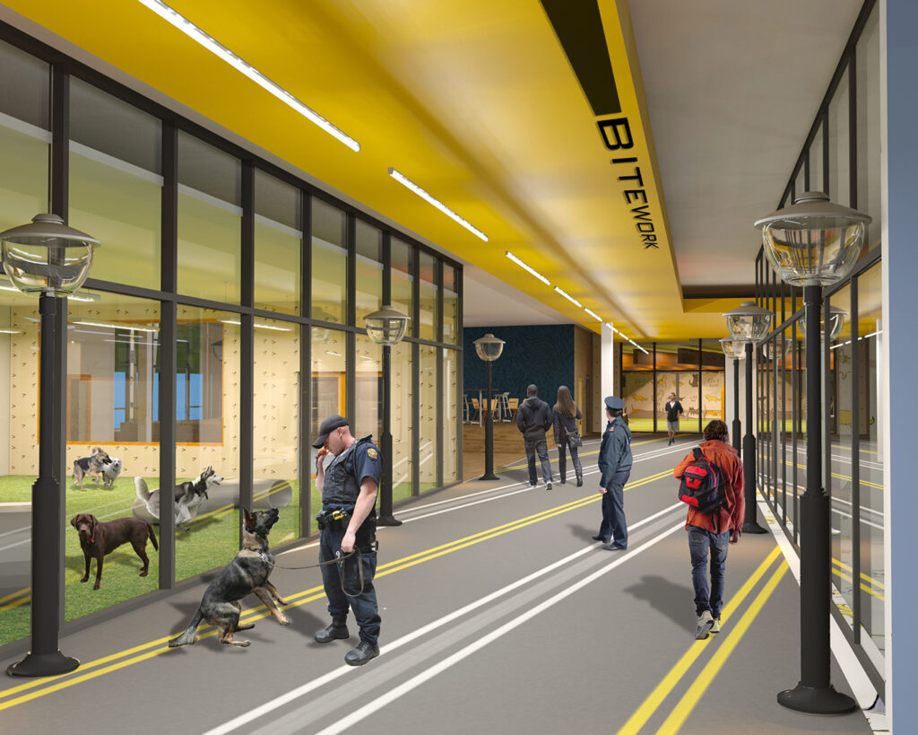 e0681359317405.5a1dbe9d33803